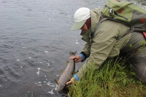 IMG_2296-29-06-19-02-35.JPG