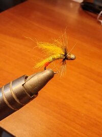 IMG_20250618_124504.jpg