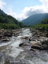 IMG_20250611_154548.jpg