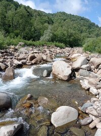 IMG_20250611_154543.jpg