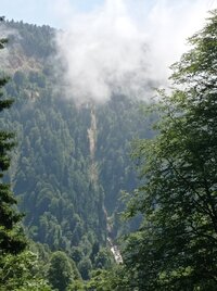 IMG_20250611_125759.jpg