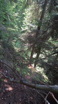 IMG-20250611-WA0038.jpeg