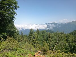 IMG_20250611_094334.jpg