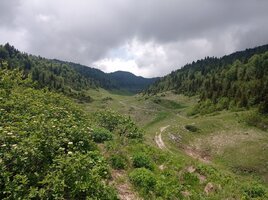 IMG_20250607_124439.jpg