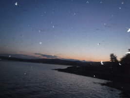 DSCF1772.JPG