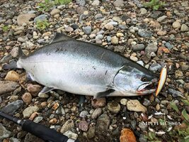 IMG_20220623_193359.jpg