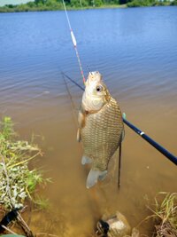 IMG_20250626_123358.jpg
