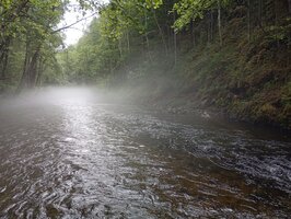IMG_20250705_133744.jpg