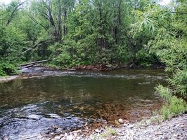 IMG_20250705_123248.jpg