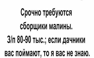 Screenshot_20250709_132612_com_whatsapp_StatusPlaybackActivity_edit_10144059467223.jpg