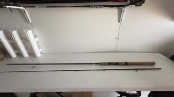 IMG_1737.jpeg