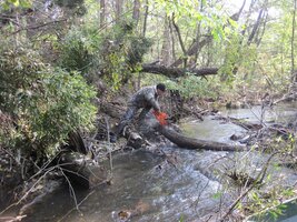IMG_1031.JPG