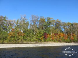 IMG_1274.JPG