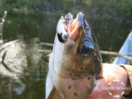 IMG_6232.JPG