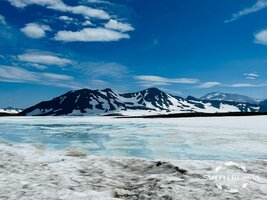 IMG_0136.jpg