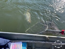 IMG_4635.JPG