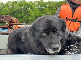 IMG_5182.JPG