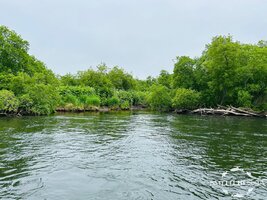 IMG_9867.jpg