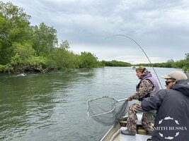 IMG_9282.JPG