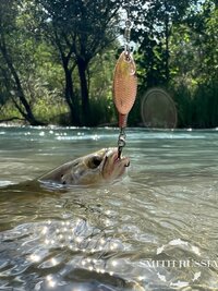 IMG_6806.JPEG