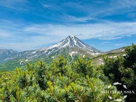 IMG_0094.jpg