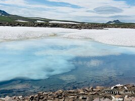 IMG_0132.jpg