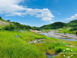 IMG_0184.jpg