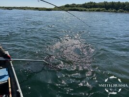 IMG_4950.JPG