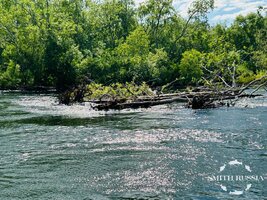 IMG_9507.jpg