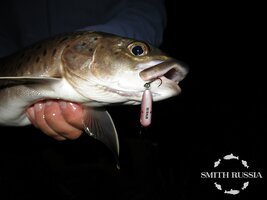 IMG_6608.JPG