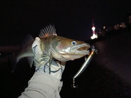 Ob7JOurBG-WImHurtJ4RvBXqhL28hfUtK3yUiouODVMro83lY_-BClCqWCp7nw9P66FzhivGhdYk_K7pFenjjb-h.jpg