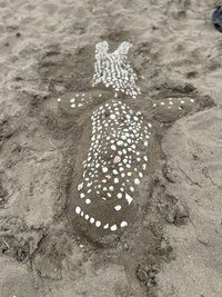 IMG_9124.jpeg