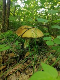 IMG_20250802_113140.jpg