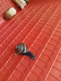 IMG_20250808_132142.jpg