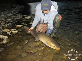 IMG_0317.JPG