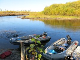 IMG_4935.JPG
