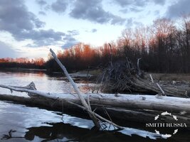 IMG_1144.jpg