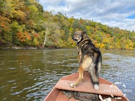 IMG_4543.JPG