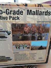 IMG_20250823_125144.jpg