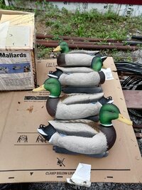 IMG_20250823_125041.jpg