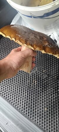 IMG_20250823_101820_340.jpg