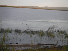 DSCF2126.JPG