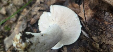 20250824_093814.jpg