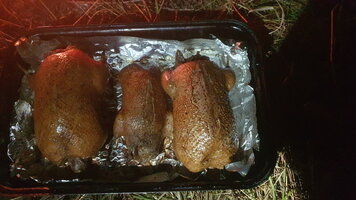 20250824_223957.jpg