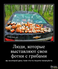IMG-20250828-WA0000.jpg