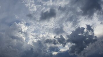 20250902_175429.jpg
