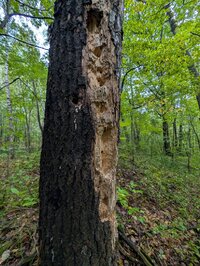 PXL_20250912_214946617.MP.jpg