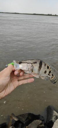 IMG_20250914_181226.jpg