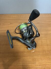 IMG_2424.jpeg