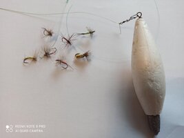 IMG_20210827_110135.jpg IMG_20210827_110135.jpg